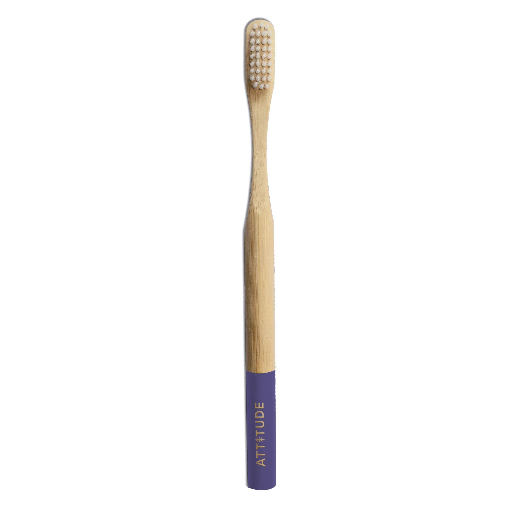 Adult toothbrush