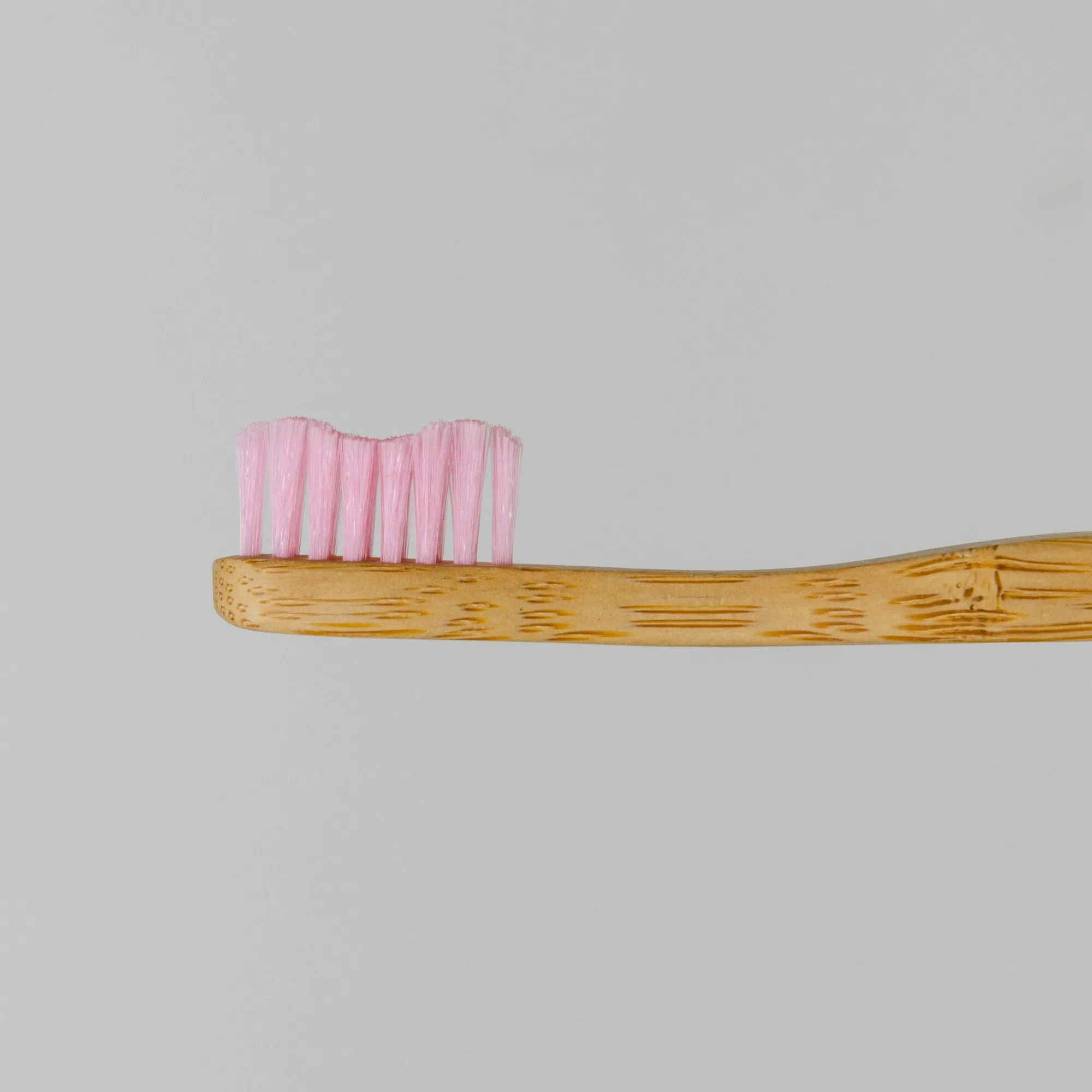 Bamboo Toothbrush