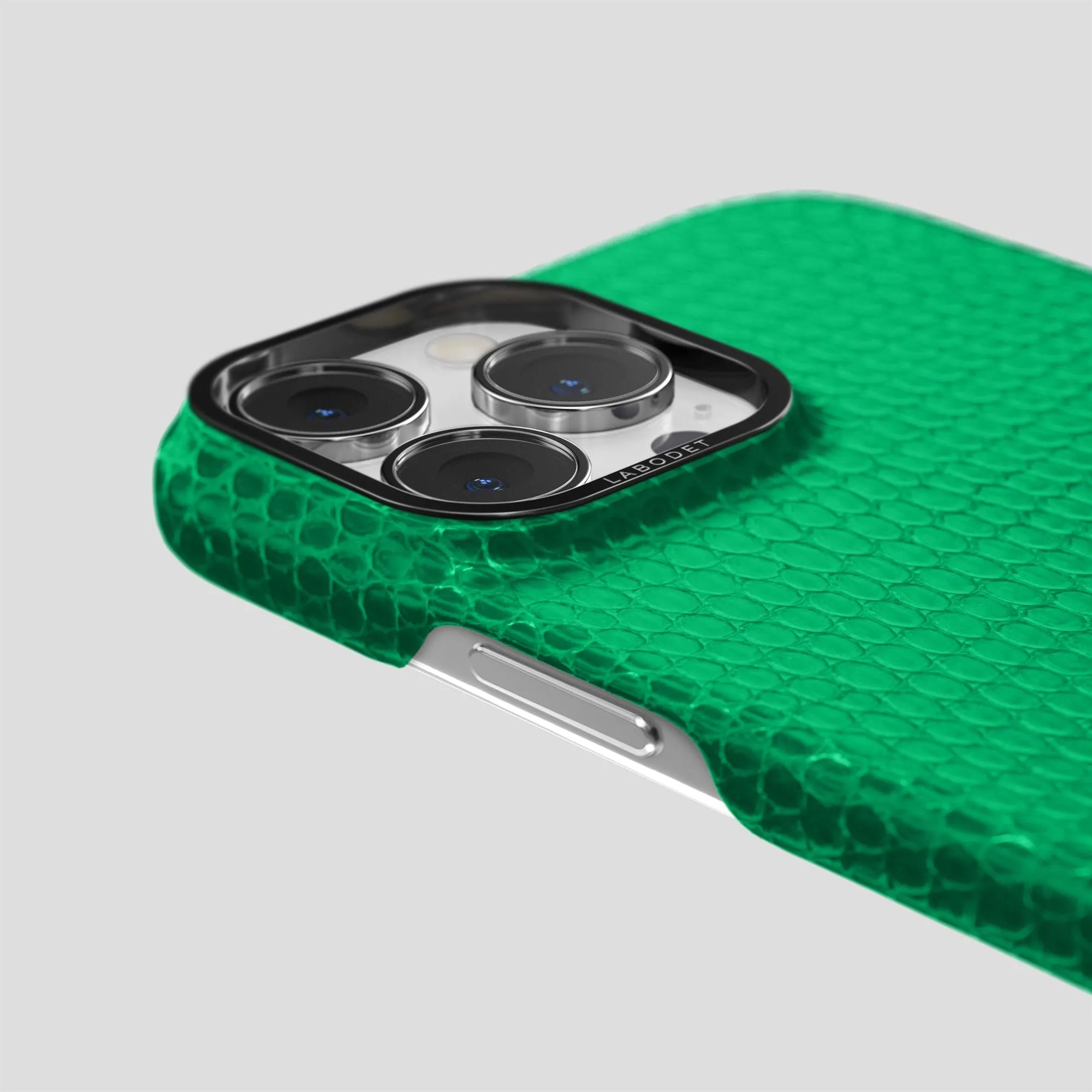 Classic Case For iPhone 15 Pro In Lizard