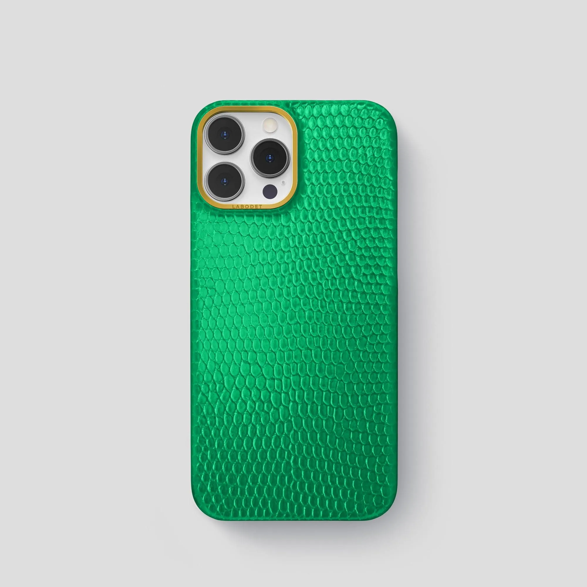 Classic Case For iPhone 15 Pro In Lizard