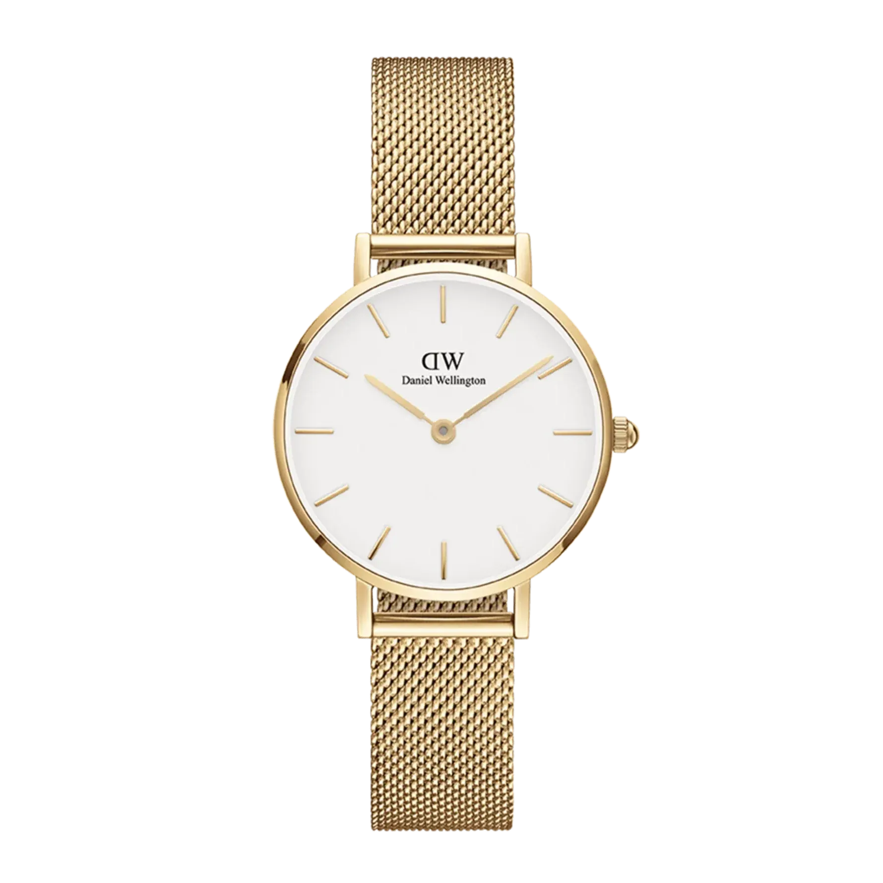 Daniel Wellington Petite Evergold Ladies Watch DW00100346