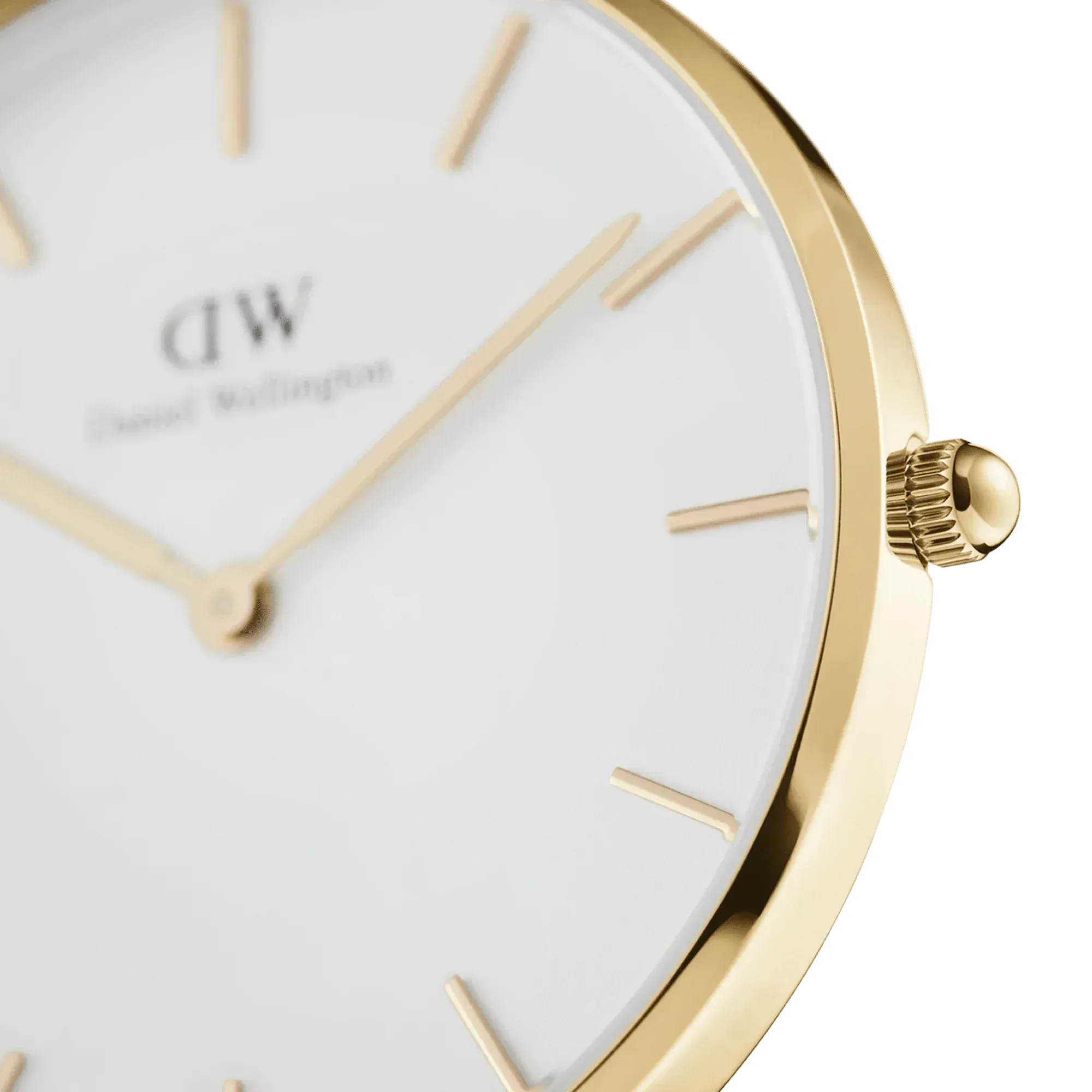 Daniel Wellington Petite Evergold Ladies Watch DW00100346