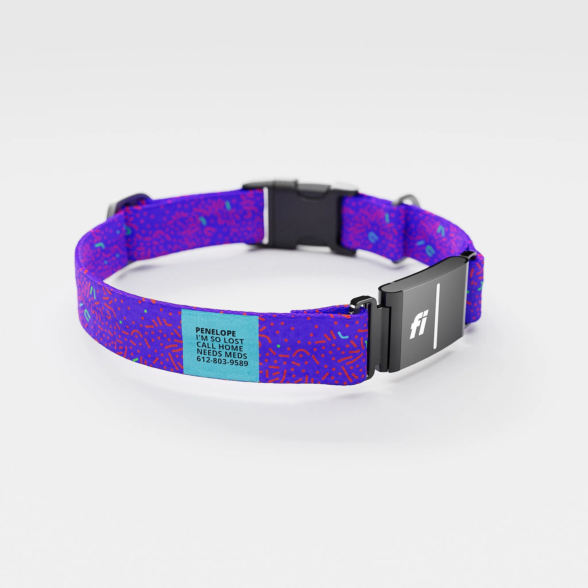 Fi GPS Included Petri Purple Everyday Collar (6 month subscription)