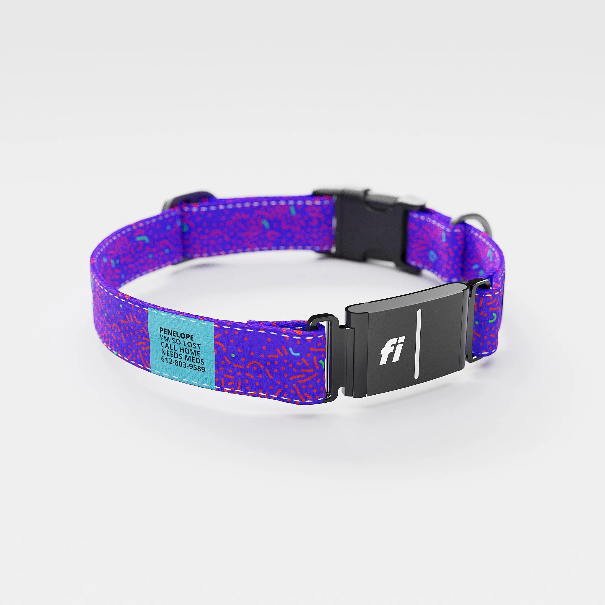 Fi GPS Included Petri Purple Everyday Collar (6 month subscription)