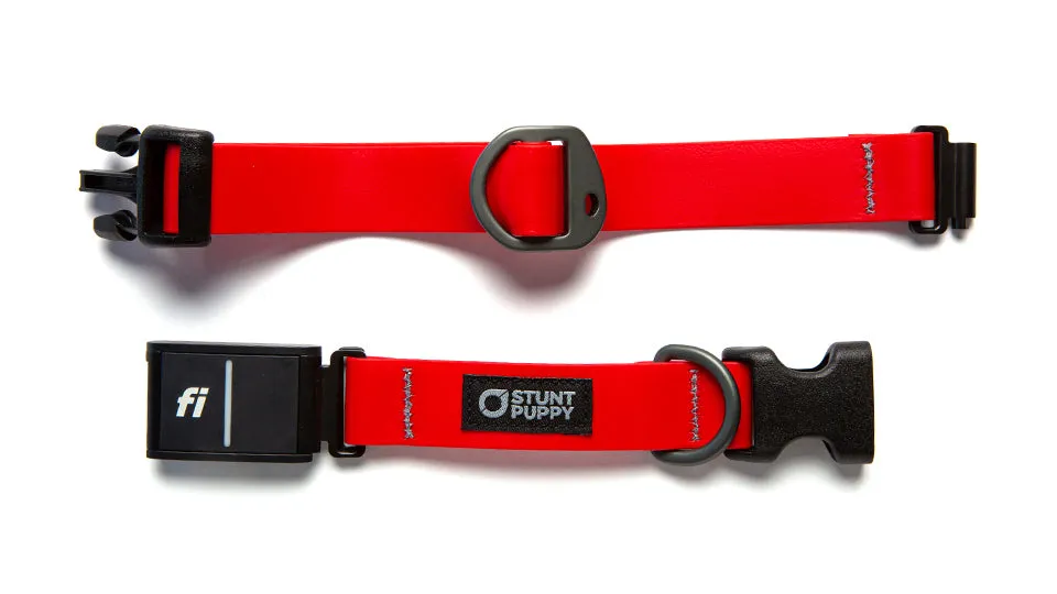 Fi GPS Included Red Dry Collar™ (6 month subscription)