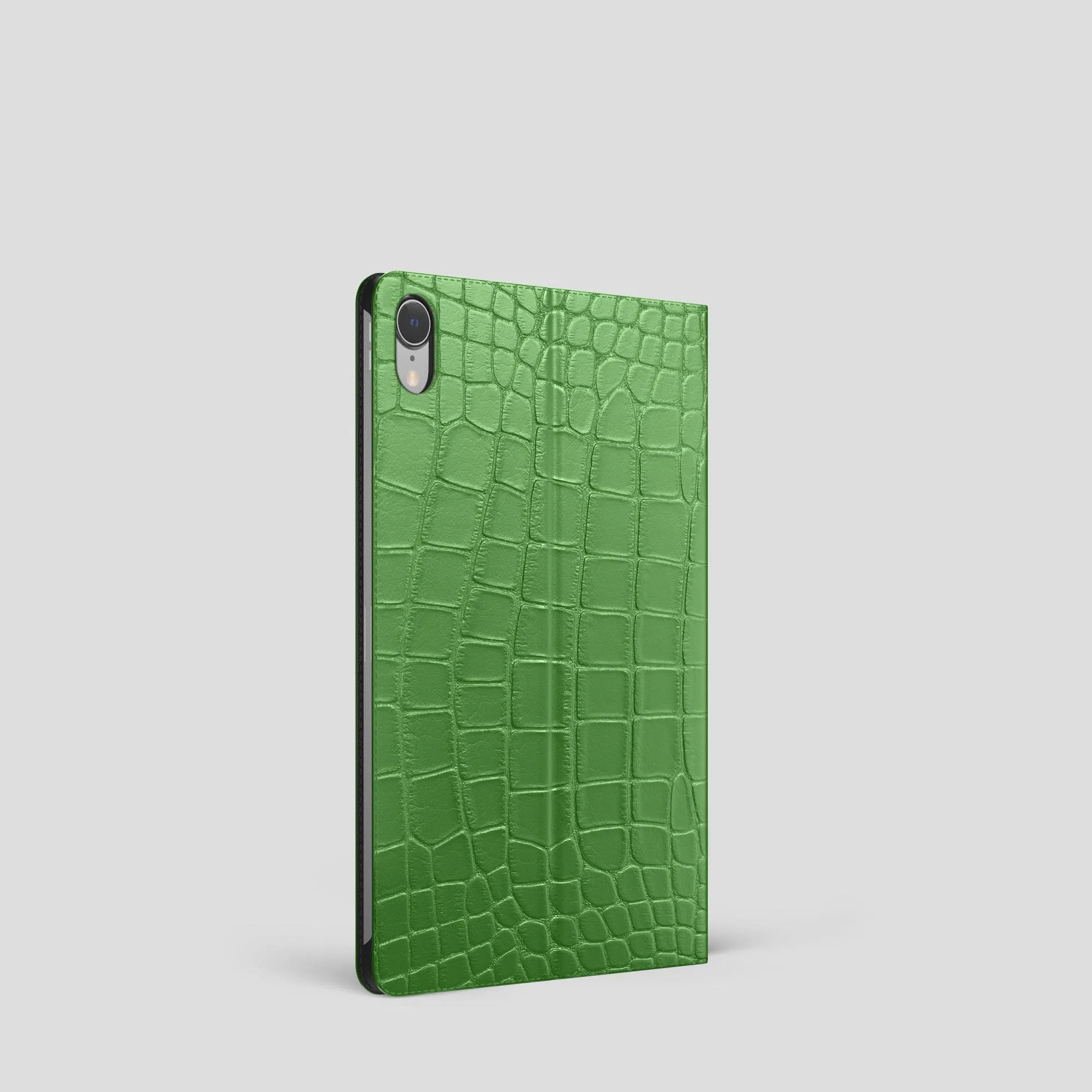 Folio Stand Case For iPad mini (6th gen) In Alligator