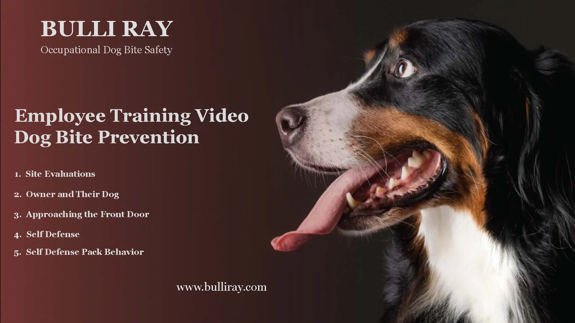 New Video Streaming - #901 Quarterly - Employee Training Video on Dog Bite Prevention 2024