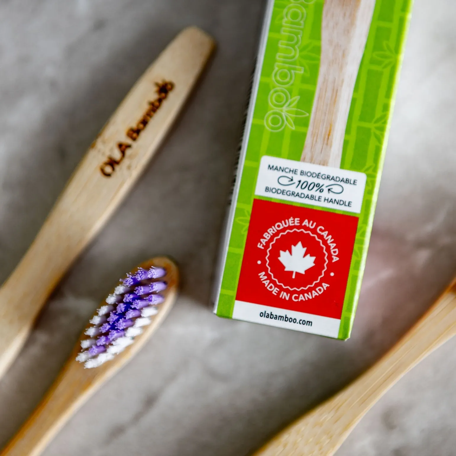 Ola Bamboo - Adult Bamboo Toothbrush