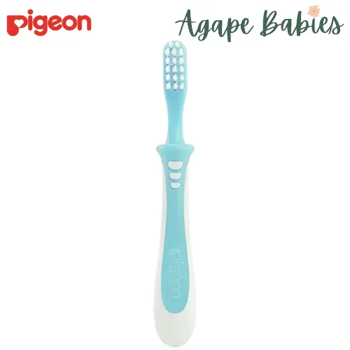 Pigeon Training Toothbrush Lesson 3 - Green (NEW)