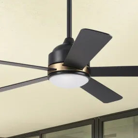 Soran Modern Smart Ceiling Fan with LED Light 52 inch