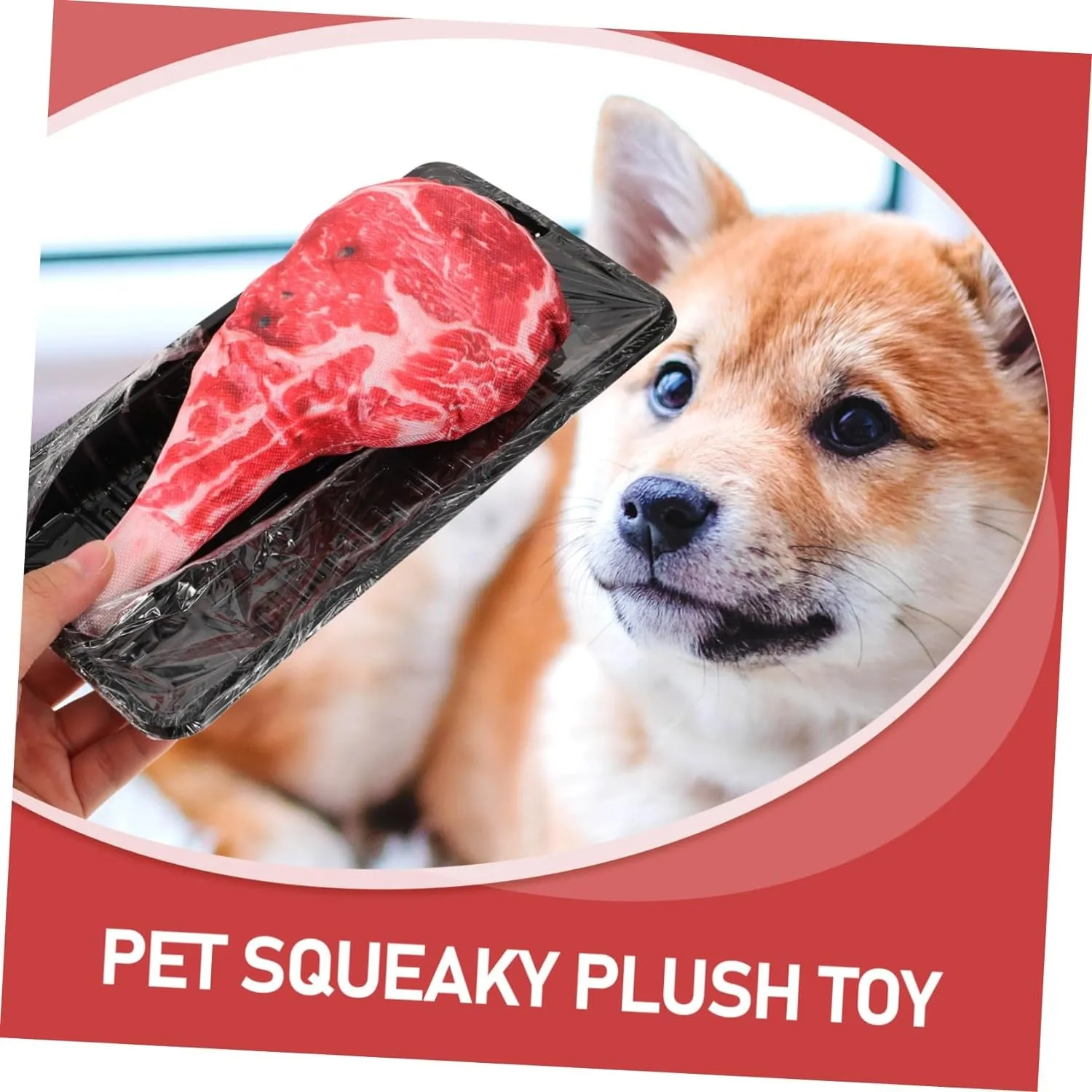 Squeaky Pig Dog Toothbrush Toy